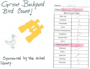 bird count1